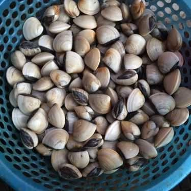 Tổng hợp- Quán Ăn Cô Nhàn Béo - Bia Hơi & Hải Sản Các Loại