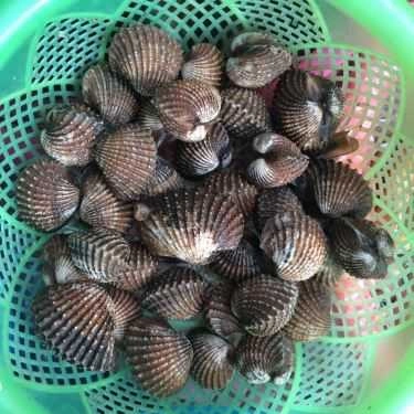 Tổng hợp- Quán Ăn Cô Nhàn Béo - Bia Hơi & Hải Sản Các Loại
