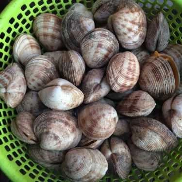 Tổng hợp- Quán Ăn Cô Nhàn Béo - Bia Hơi & Hải Sản Các Loại