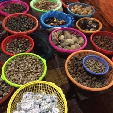 Tổng hợp- Quán Ăn Cô Nhàn Béo - Bia Hơi & Hải Sản Các Loại