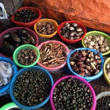 Tổng hợp- Quán Ăn Cô Nhàn Béo - Bia Hơi & Hải Sản Các Loại