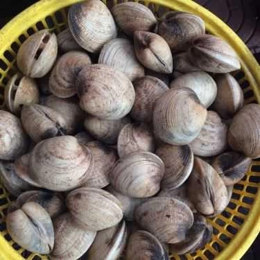 Tổng hợp- Quán Ăn Cô Nhàn Béo - Bia Hơi & Hải Sản Các Loại