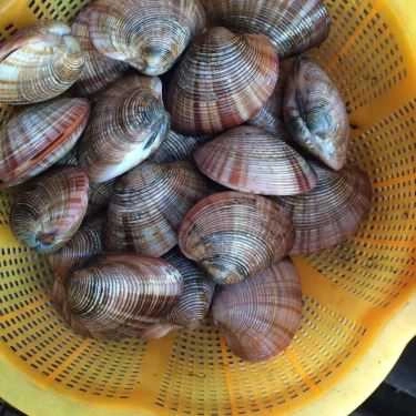 Tổng hợp- Quán Ăn Cô Nhàn Béo - Bia Hơi & Hải Sản Các Loại
