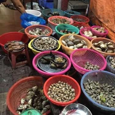 Tổng hợp- Quán Ăn Cô Nhàn Béo - Bia Hơi & Hải Sản Các Loại