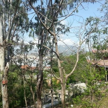 Tổng hợp- Quán Ăn Cơm Chay Thiền Duyệt