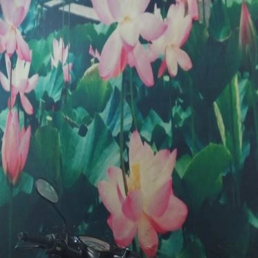 Tổng hợp- Quán Ăn Cơm Chay Việt - Nguyễn Thái Sơn