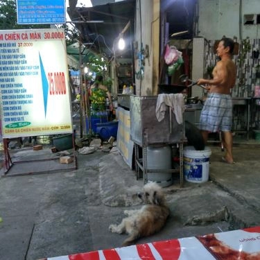 Tổng hợp- Quán Ăn Cơm Chiên Gà Xối Mỡ - Cư Xá Phú Lâm B