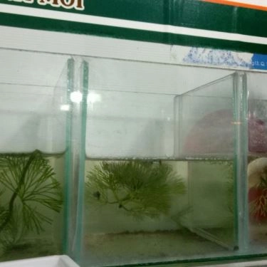 Tổng hợp- Quán Ăn Cơm Chiên & Mì Xào Giòn