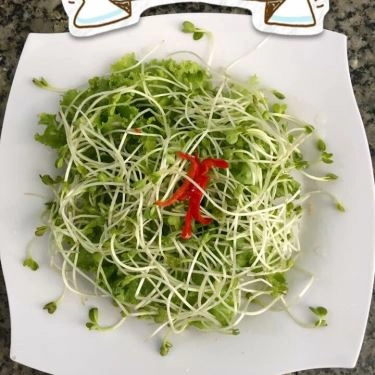 Tổng hợp- Quán Ăn Cơm Gà 68
