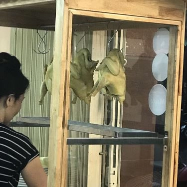 Tổng hợp- Quán Ăn Cơm Gà Bà Ngân - Hội An