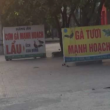 Tổng hợp- Quán Ăn Gà Tươi Mạnh Hoạch - Quốc Lộ 18