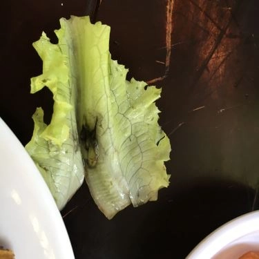 Tổng hợp- Quán Ăn Cơm Gà Hải Nam & Xối Mỡ - Cao Thắng