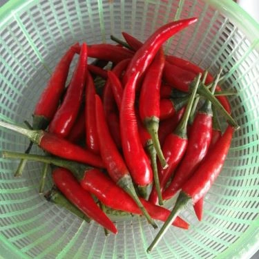 Tổng hợp- Quán Ăn Hải Dương - Cơm Chiên Gà Xối Mỡ