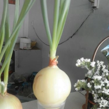 Tổng hợp- Quán Ăn Phượng Hoàng 7 - Cơm Gà Xối Mỡ