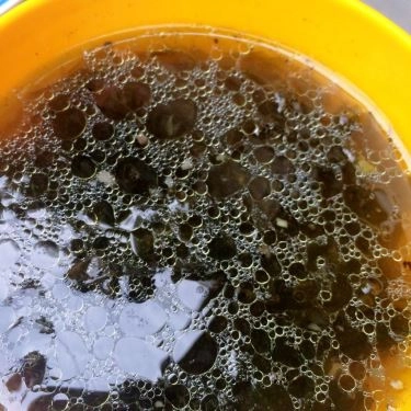 Tổng hợp- Quán Ăn Cơm Gà Xối Mỡ Xá Xíu