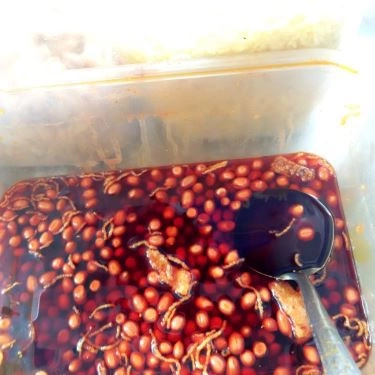 Tổng hợp- Quán Ăn Cơm Hến - Bún Hến Thanh