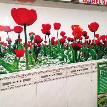 Tổng hợp- Quán Ăn Cơm Hoàng Ký