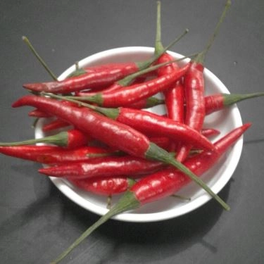 Tổng hợp- Quán Ăn Thảo Nguyên - Cơm Huế