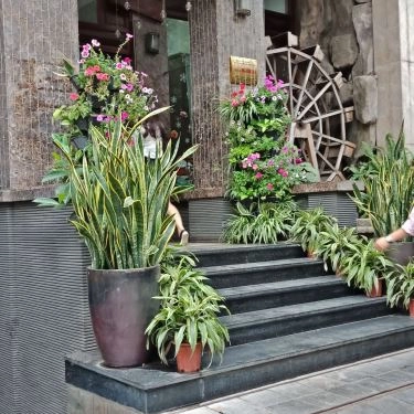 Tổng hợp- Quán Ăn Cơm Mường Bi - Món Ăn Dân Tộc