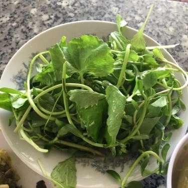 Tổng hợp- Quán Ăn Cơm Ngon Vị Bắc