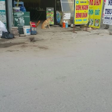 Tổng hợp- Quán Ăn Tuân An - Cơm Ngon Bình Dân