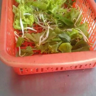 Tổng hợp- Quán Ăn Cơm Tấm Bà Năm - Mã Lò