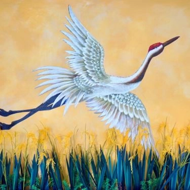Tổng hợp- Quán Ăn Cơm Tấm Đỗ Phủ