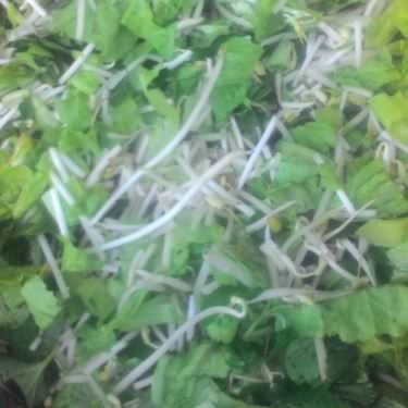 Tổng hợp- Quán Ăn Quán Mỹ Hân - Cơm Tấm & Bún Nem