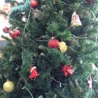 Tổng hợp- Quán Ăn Cơm Trộn 2 Cô - Lê Văn Sỹ