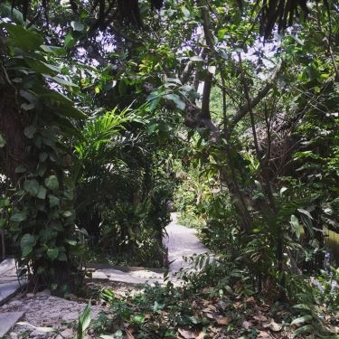 Tổng hợp- Quán Ăn Cù Lao Xanh - Bình Quới