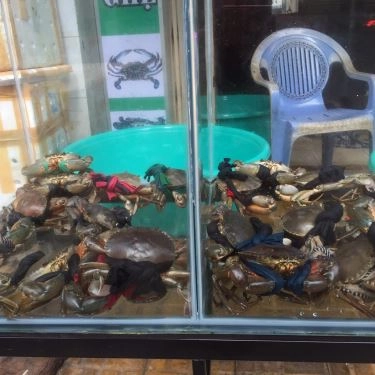 Tổng hợp- Quán Ăn Quán 106 - Cua Cà Mau