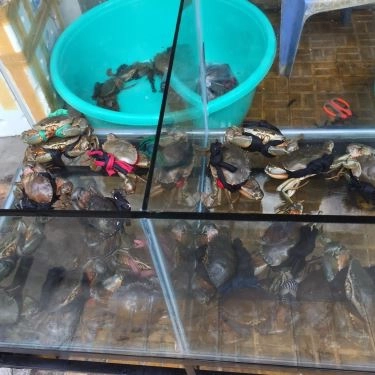 Tổng hợp- Quán Ăn Quán 106 - Cua Cà Mau
