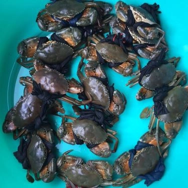 Tổng hợp- Quán Ăn Quán 106 - Cua Cà Mau