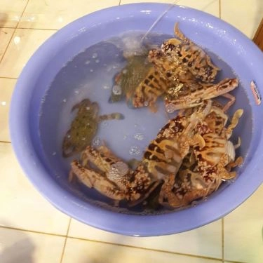 Tổng hợp- Quán Ăn Cua Đồng Quán