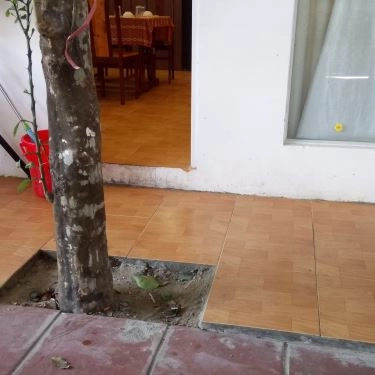 Tổng hợp- Quán Ăn Cua Đồng Quán