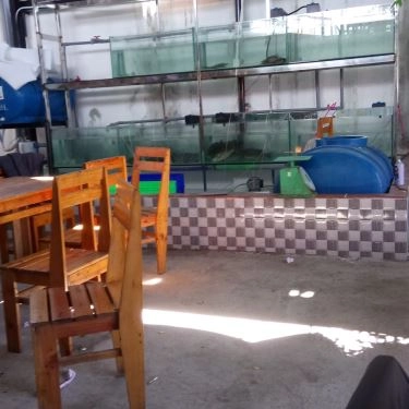 Tổng hợp- Quán Ăn Cua Đồng Quán