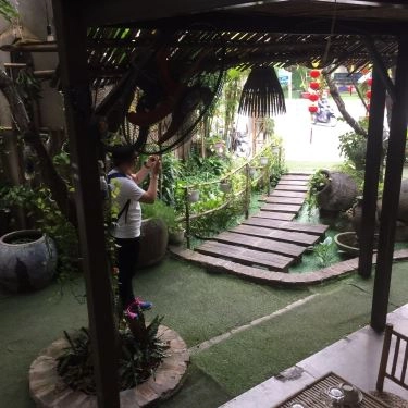 Tổng hợp- Quán Ăn Cục Ta Cục Tác - Đặc Sản Tây Nguyên
