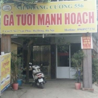 Tổng hợp- Quán Ăn Cường 556 - Gà Tươi Mạnh Hoạch - Vạn Phúc