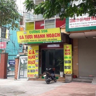 Tổng hợp- Quán Ăn Cường 556 - Gà Tươi Mạnh Hoạch - Dương Khuê