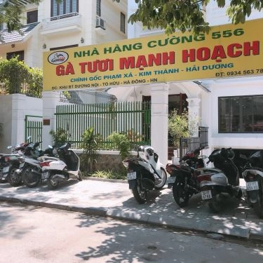 Tổng hợp- Quán Ăn Cường 556 - Gà Tươi Mạnh Hoạch - KĐT Dương Nội
