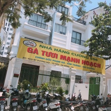 Tổng hợp- Quán Ăn Cường 556 - Gà Tươi Mạnh Hoạch - KĐT Dương Nội