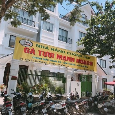 Tổng hợp- Quán Ăn Cường 556 - Gà Tươi Mạnh Hoạch - KĐT Dương Nội