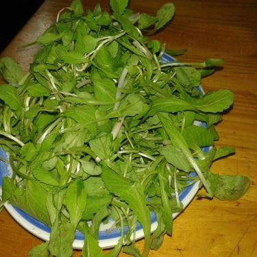 Món ăn- Quán Ăn Cường Đôla 2 - Bánh Canh Cá Lóc