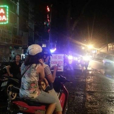 Tổng hợp- Quán Ăn Cô Năm - Cút Chiên Bơ