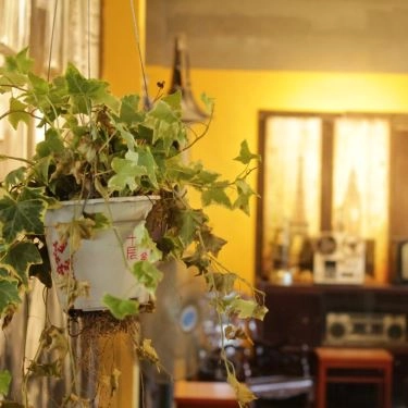 Tổng hợp- Quán Ăn Đà Nẵng Xưa Cafe