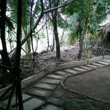 Tổng hợp- Quán Ăn Đặc Sản Dê Núi - Nguyễn Bình