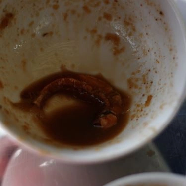Tổng hợp- Quán Ăn Đại Lộc - Bánh Tráng Thịt Heo & Mì Quảng