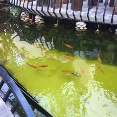 Tổng hợp- Nhà Hàng Ẩm Thực Danang Corner