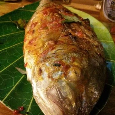Tổng hợp- Quán Ăn Đảo Bạch Tuộc - Bia Tuyết & Bạch Tuộc Nướng