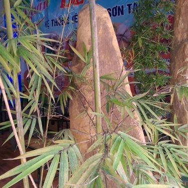 Tổng hợp- Quán Ăn Dê Hùng - Đặc Sản Dê Hương Sơn